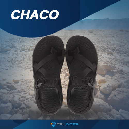 Sandals Shoe - Chaco Z/2 Classic